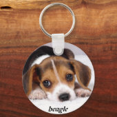 beagle-puppies-wallpaper-11.jpg, beagle キーホルダー (正面)