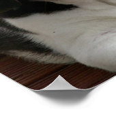 Beagle Puppy Dog Poster Print ポスター (角)