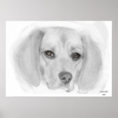 Beagle Sketchポスター ポスター (正面)