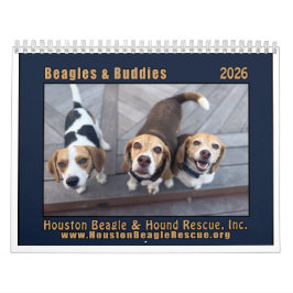 Beagles and Buddies Calendar 2026 カレンダー