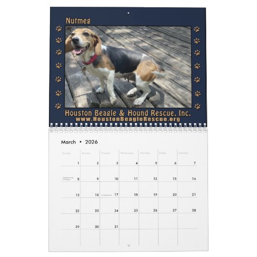 Beagles Beagles Wall calendar 2026 カレンダー (3月 2026)