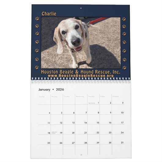 Beagles Beagles Wall calendar 2026 カレンダー (1月 2026)