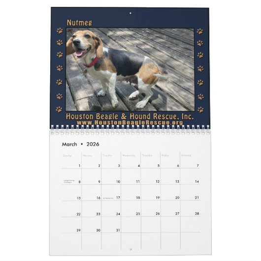 Beagles Beagles Wall calendar 2026 カレンダー (3月 2026)