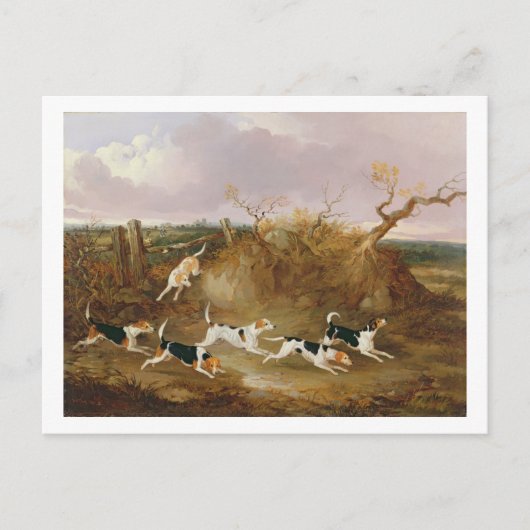 Beagles in Full Cry, 1845 (キャンバス油) ポストカード (正面)