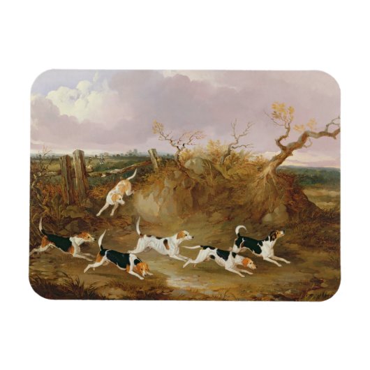 Beagles in Full Cry, 1845 (キャンバス油) マグネット (横)