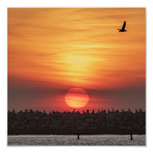 Beaitiful Sunset Colors - Marina Del Rey, CA フォトプリント (正面)