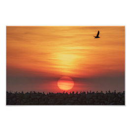 Beaitiful Sunset Colors - Marina Del Rey, CA フォトプリント