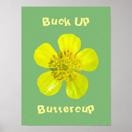 Beaming Buttercup Flower – バターカップを持ち上げる。 ポスター (正面)