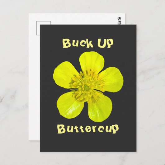 Beaming Buttercup Flower – バターカップを持ち上げる。 ポストカード (正面/裏面)
