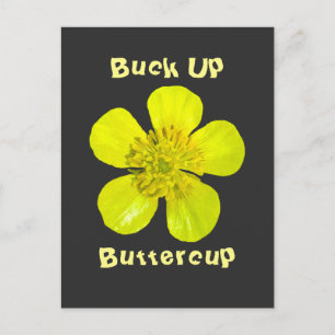 Beaming Buttercup Flower – バターカップを持ち上げる。 ポストカード