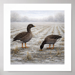 Bean Geese in a Winter Field – Japanese Wild Bird ポスター