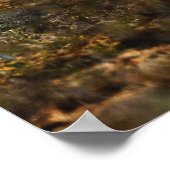 Bear ポスター (角)