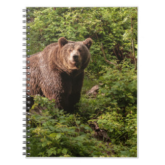 Bear 実在 Gift、Grizzly Bear、Grizzly Bear Journal ノートブック