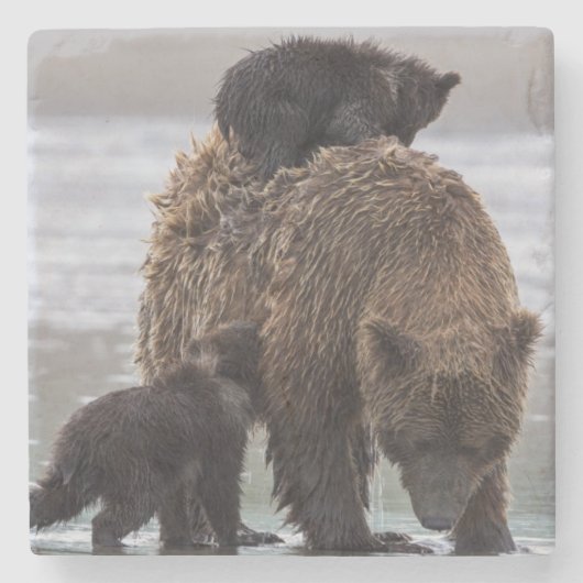bear |湖のクラーク国立公園 ストーンコースター (正面)