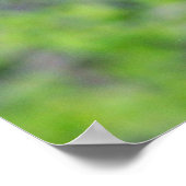 Bear Cub Climbing a Tree ポスター (角)