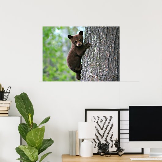 Bear Cub Climbing a Tree ポスター (ホームオフィス)