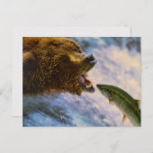 BEAR FISH WILD ANIMAL POSTCROSSING ポストカード (正面/裏面)