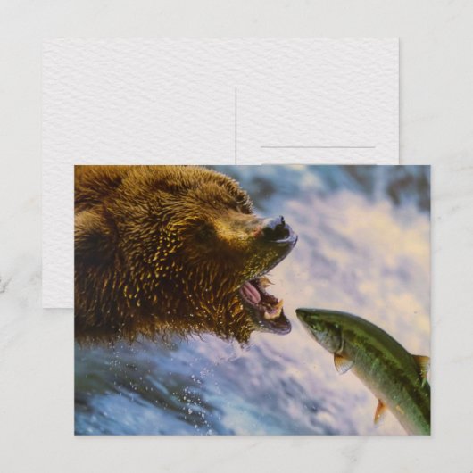 BEAR FISH WILD ANIMAL POSTCROSSING ポストカード (正面/裏面)