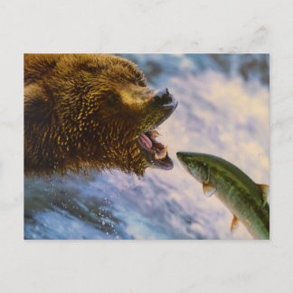 BEAR FISH WILD ANIMAL POSTCROSSING ポストカード