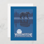 Bear in Moonlight -イエローストーン国立公園 ポストカード (正面/裏面)