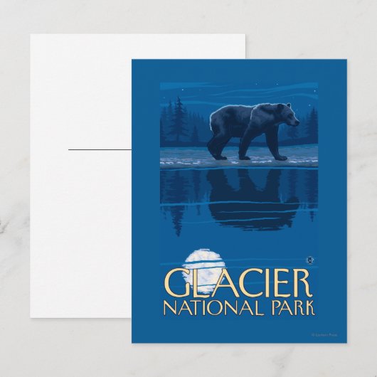 Bear in Moonlight - Glacier National Park, MT ポストカード (正面/裏面)