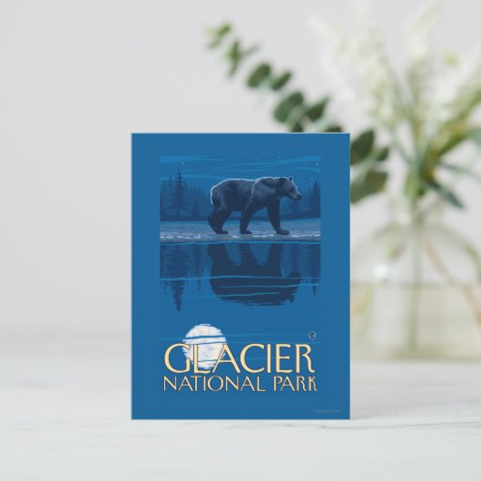 Bear in Moonlight - Glacier National Park, MT ポストカード (スタンド正面)