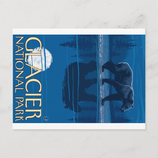 Bear in Moonlight - Glacier National Park, MT ポストカード (正面)