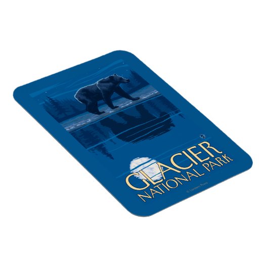 Bear in Moonlight - Glacier National Park, MT マグネット (右側)