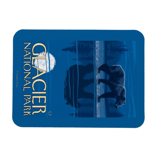 Bear in Moonlight - Glacier National Park, MT マグネット (横)