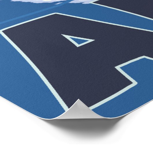 Bear in Moonlight - Katmai，アラスカ ポスター (角)