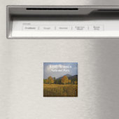 Bear Lake Road Rocky Mountain National Park Magnet マグネット (インサイチュ (食洗機))