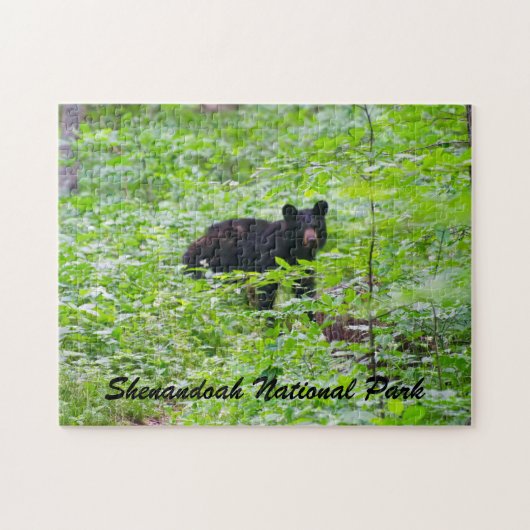 Bear - Shenandoah National Park ジグソーパズル (横)