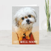 Bear the Malshi Get Well Card カード (正面)