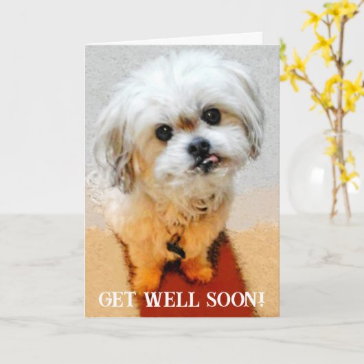 Bear the Malshi Get Well Card カード (黄色い花)