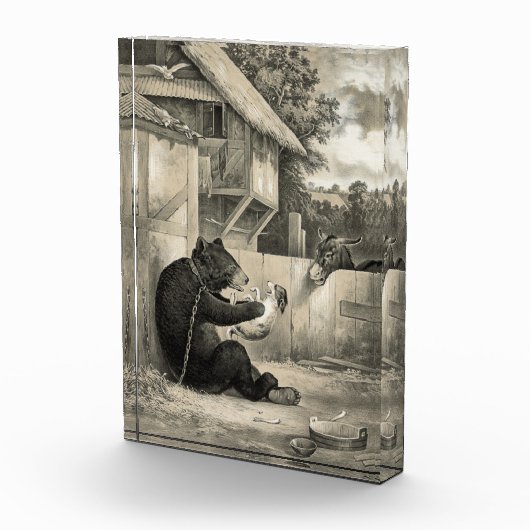 Beard - Bear, Dog and Donkey フォトブロック (右)