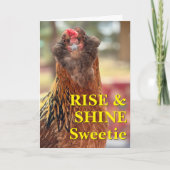 Bearded Chicken Close-Up Photograph カード (正面)