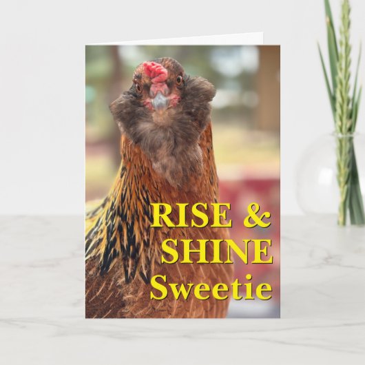 Bearded Chicken Close-Up Photograph カード (正面)