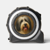 Bearded Collie メジャー (正面)