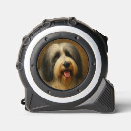 Bearded Collie メジャー