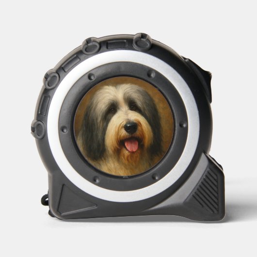 Bearded Collie メジャー (正面)