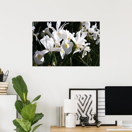 Bearded Iris ポスター (ホームオフィス)