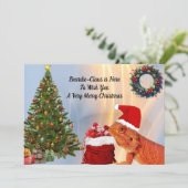 Beardie-クロース- Bearded Dragon (スタンド正面)