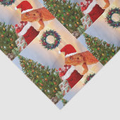 Beardie-クロース- Bearded Dragon Santa 薄葉紙 (詳細)