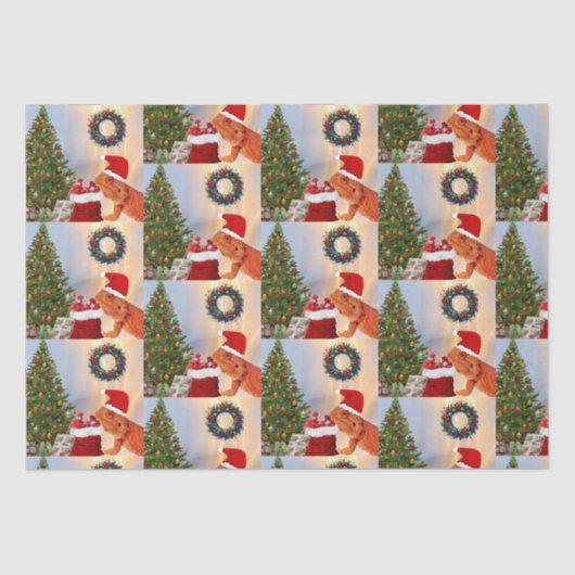 Beardie-クロース- Bearded Dragon Santa 薄葉紙 (正面)