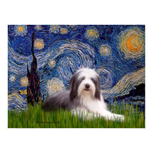 Beardie 2 - 星空