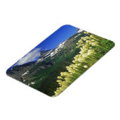 Beargrass at Logan Pass in Glacier National Park マグネット (左側)