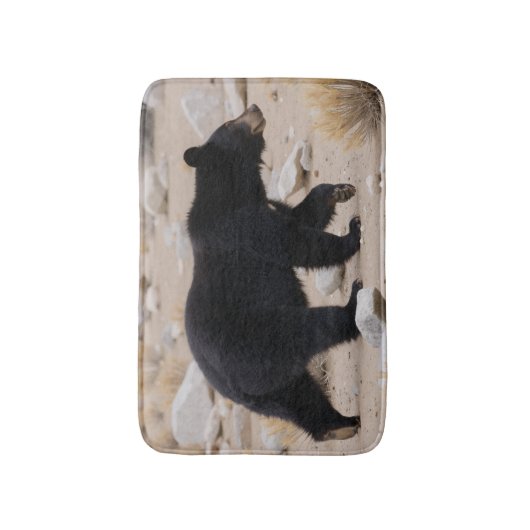 Bearing Life  バスマット (正面縦)