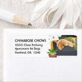 BEARLY AWAKE CHOW - Customiz差出人住所ラベル ラベル (インサイチュ)