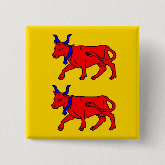 Bearnのフランスの旗 缶バッジ (正面)