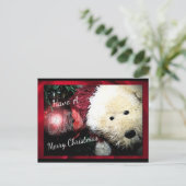 Bearyのメリークリスマスの郵便はがき シーズンポストカード (スタンド正面)